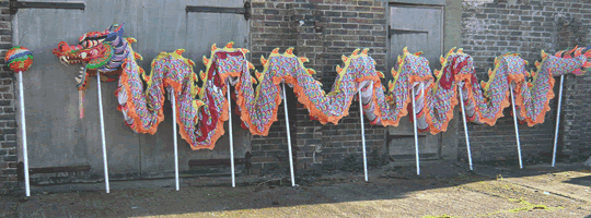 40 ft Dragon Dance Costume to Hire
