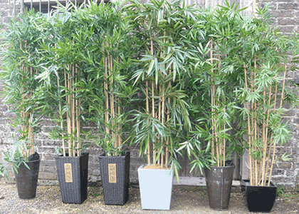 Artificial Bamboo Hire