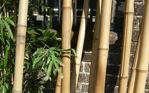 Chinese Props Bamboo Poles, Event prop Hire Decoration