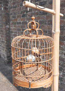 Vintage Bamboo Bird Cage .. Hire
