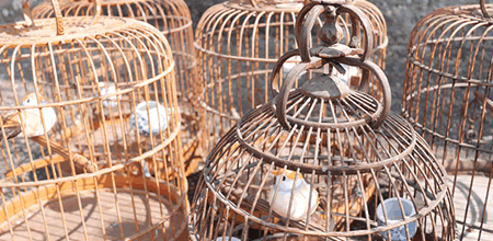 Vintage Chinese Bamboo Bird Cages