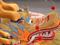 Gold Dragon Costume