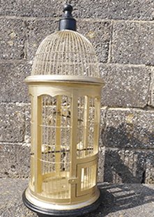 Gold decorative Bird Cage Hire