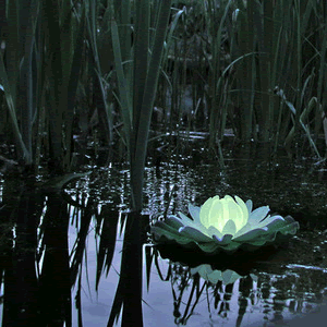 Illuminated Water Lillies Hire